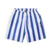 STRIPED SWIM SHORTS WHITE/NAVY(Striped Swim Shorts White Navy)