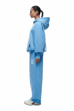 ICONS HOODIE SKY BLUE(Icons Hoodie Sky Blue) -6PM CLOTHING SALE tr icon hoodie blue6 min